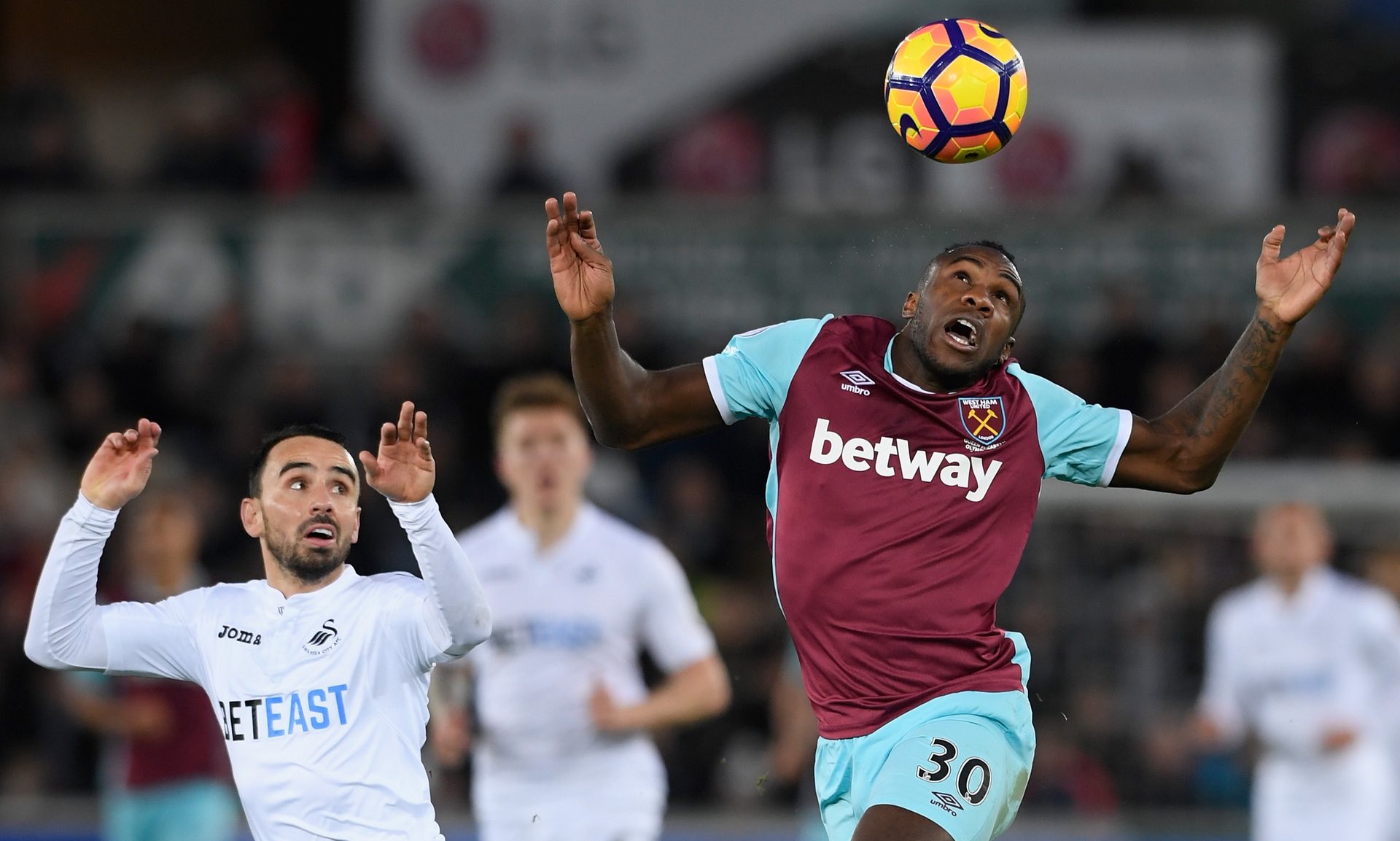 他的职业生 他的职业生